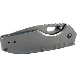 Titanium Finish Folding Pocket Knife Thumb Open Spring Assisted Gray Front